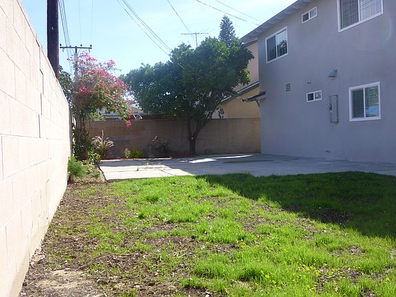 Large Back Yard