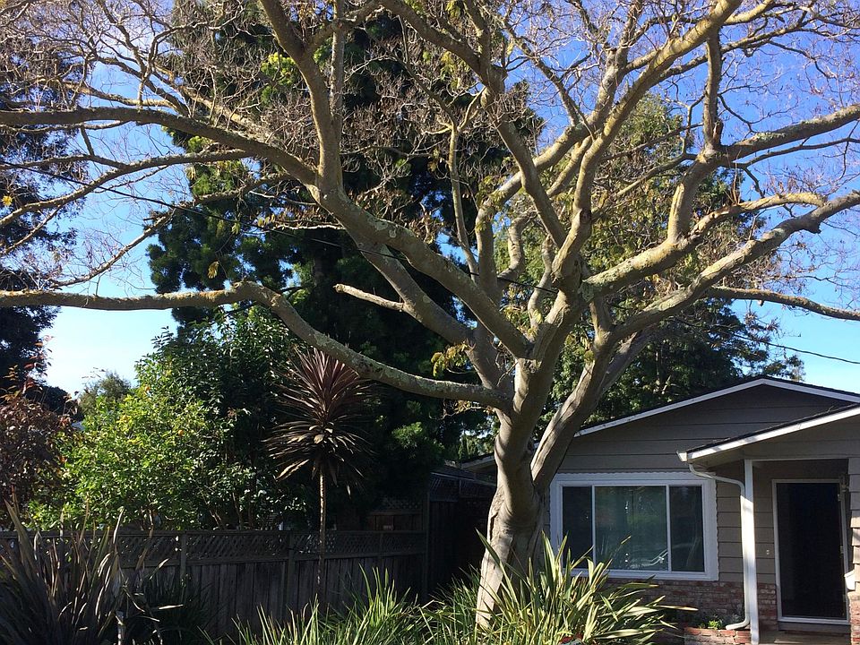 2nd image of 741 6th Ave