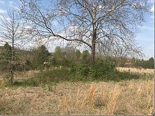 1st image of LOT 1 Old Newport Hwy