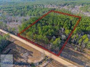 LOT 1 Arcola Rd, Brooklet, GA 30415