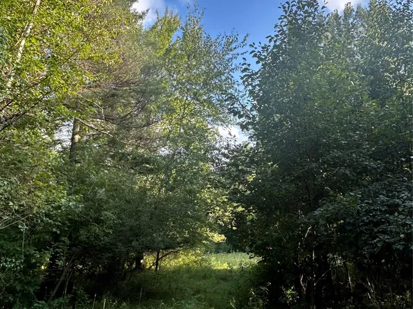 V/l Frankford Rd, Caro, MI 48723