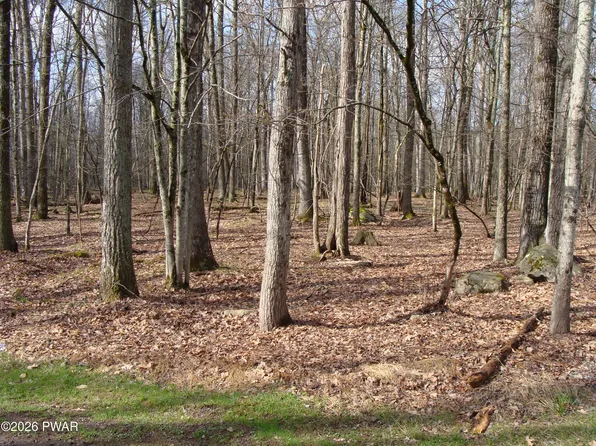 Seminole Dr, Lakeville, PA 18438