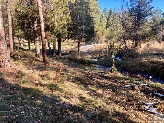4th image of 503 Whitetail Dr
