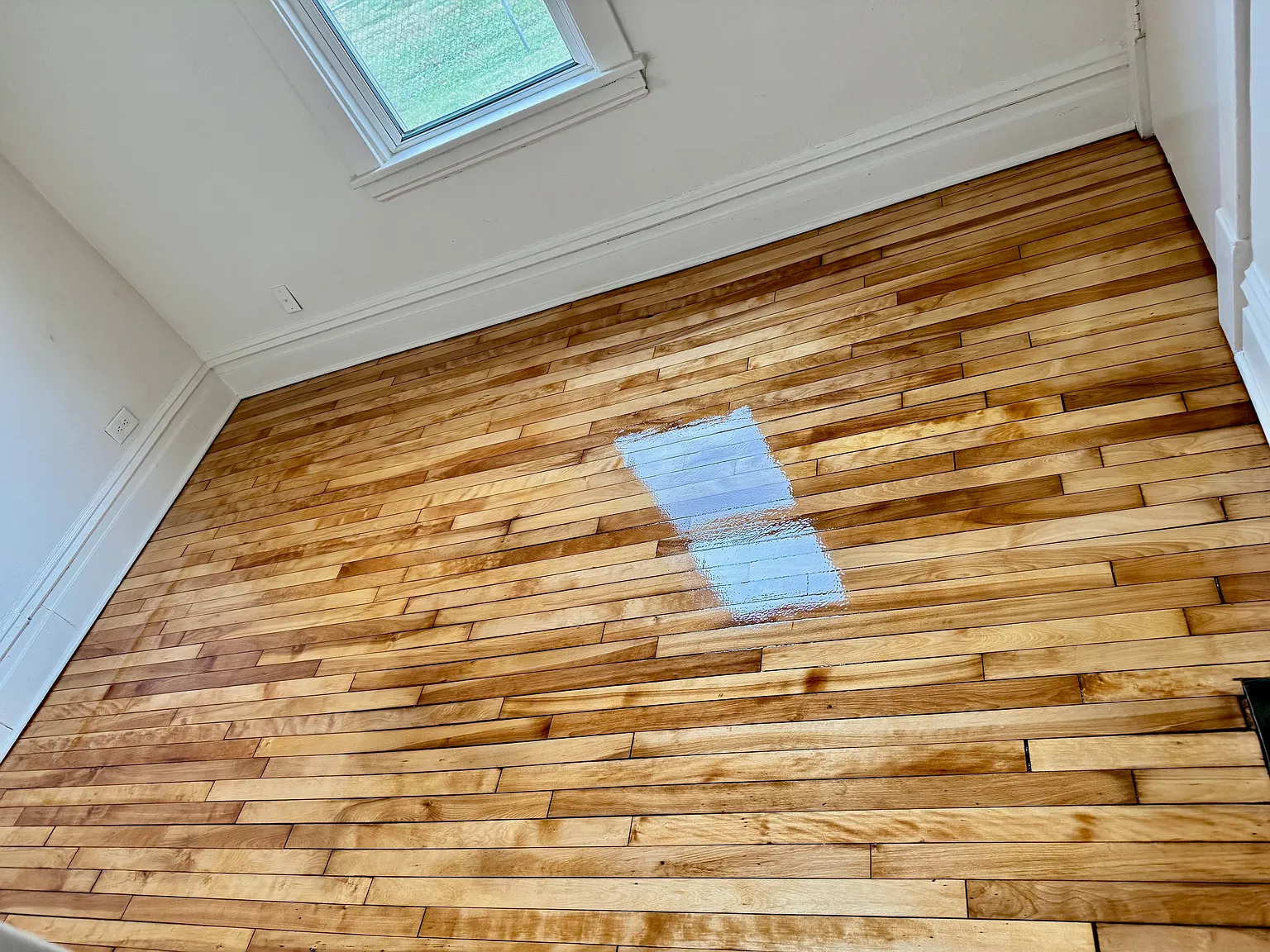 2 bed, 800 sqft, $1,295 — Photo 3