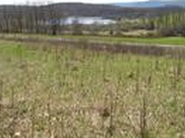 Palmer Rd, Schenevus, NY 12155