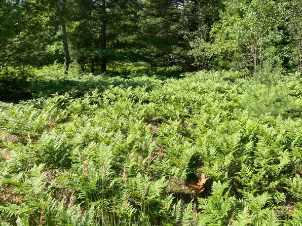 57 Fairway Hollow Dr, Mancelona, MI 49659