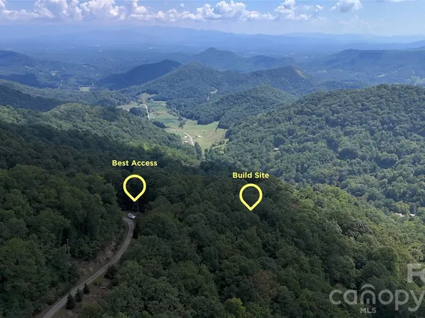 Black Bear Trl, Leicester, NC 28748