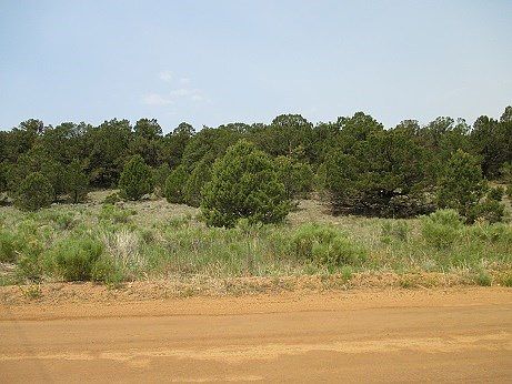 2nd image of 16001 County Road 143