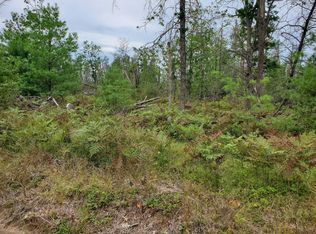 Par 3 Nelson Rd, Idlewild, MI 49642