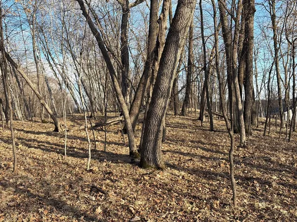 495XX Fish Lake Rd, Pelican Rapids, MN 56572