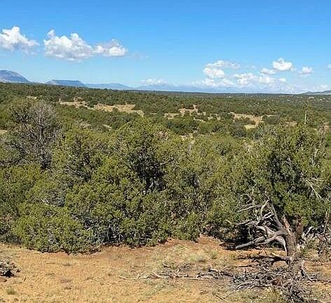 5th image of 463 Rio Cucharas Chase #2-335-339
