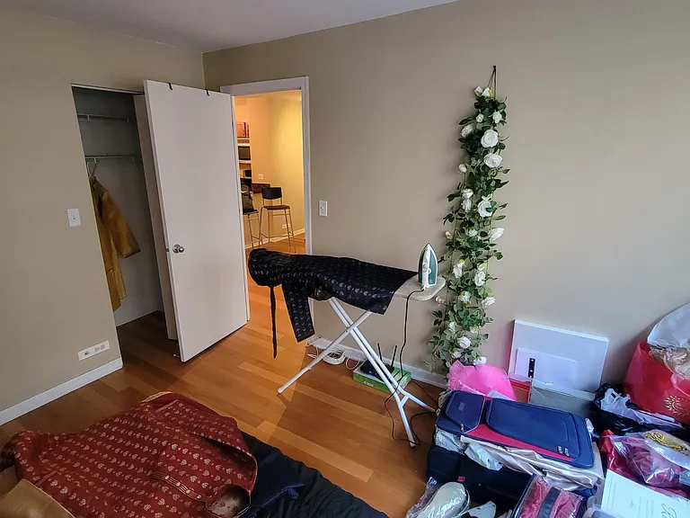 222 E Pearson St #1407 — Photo 6