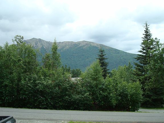 View from the living room window