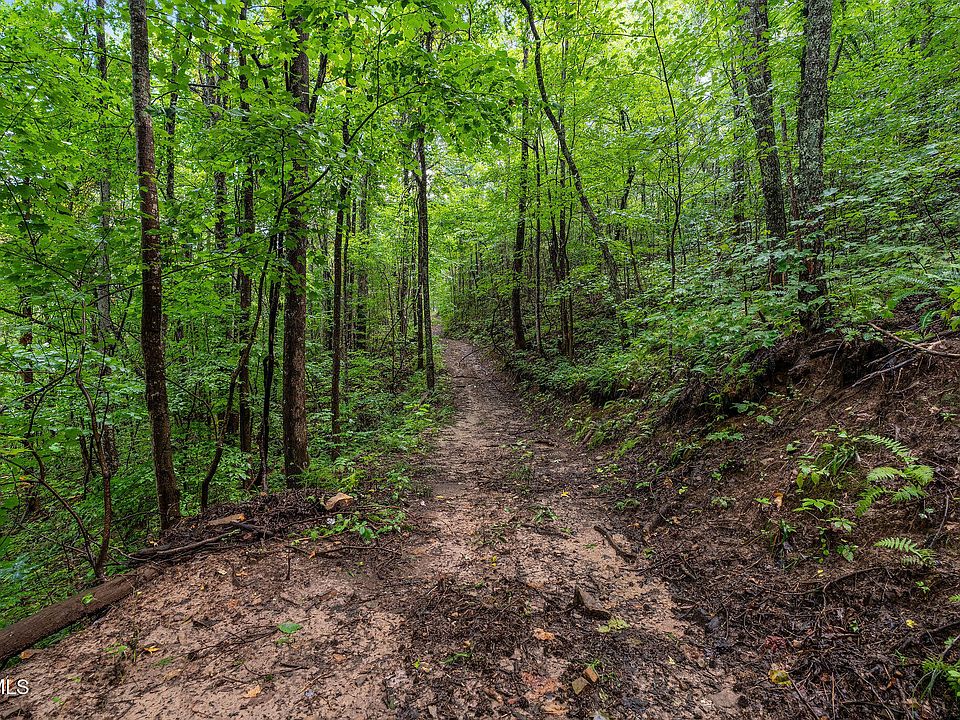 82nd image of this home