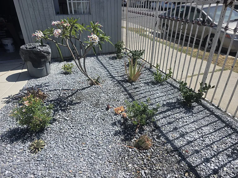 402 E Pine St — Photo 2