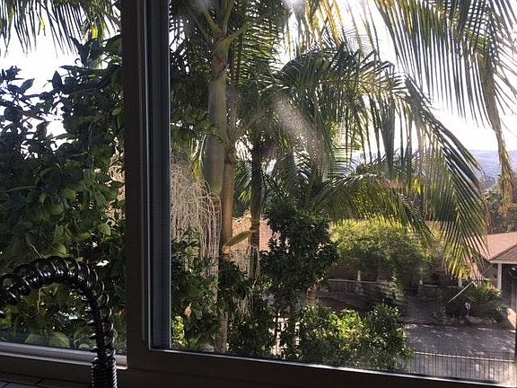 view from kitchen window