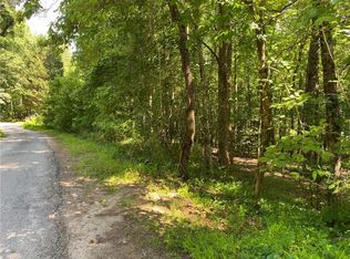 0 Skunk Hollow Rd #10, Cleveland, GA 30528