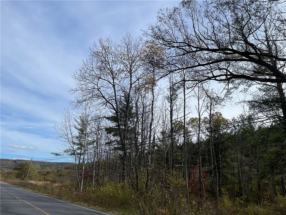 0 County Road 39, Afton, NY 13730 Zillow