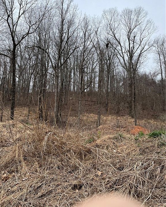 2nd image of Madison St #5555