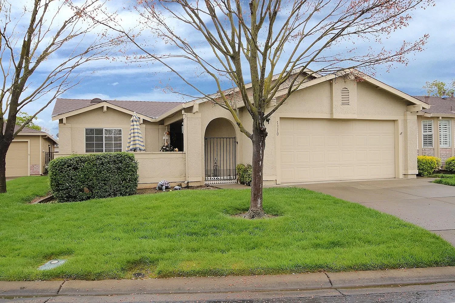 7310 Sunleaf Ln photo 1