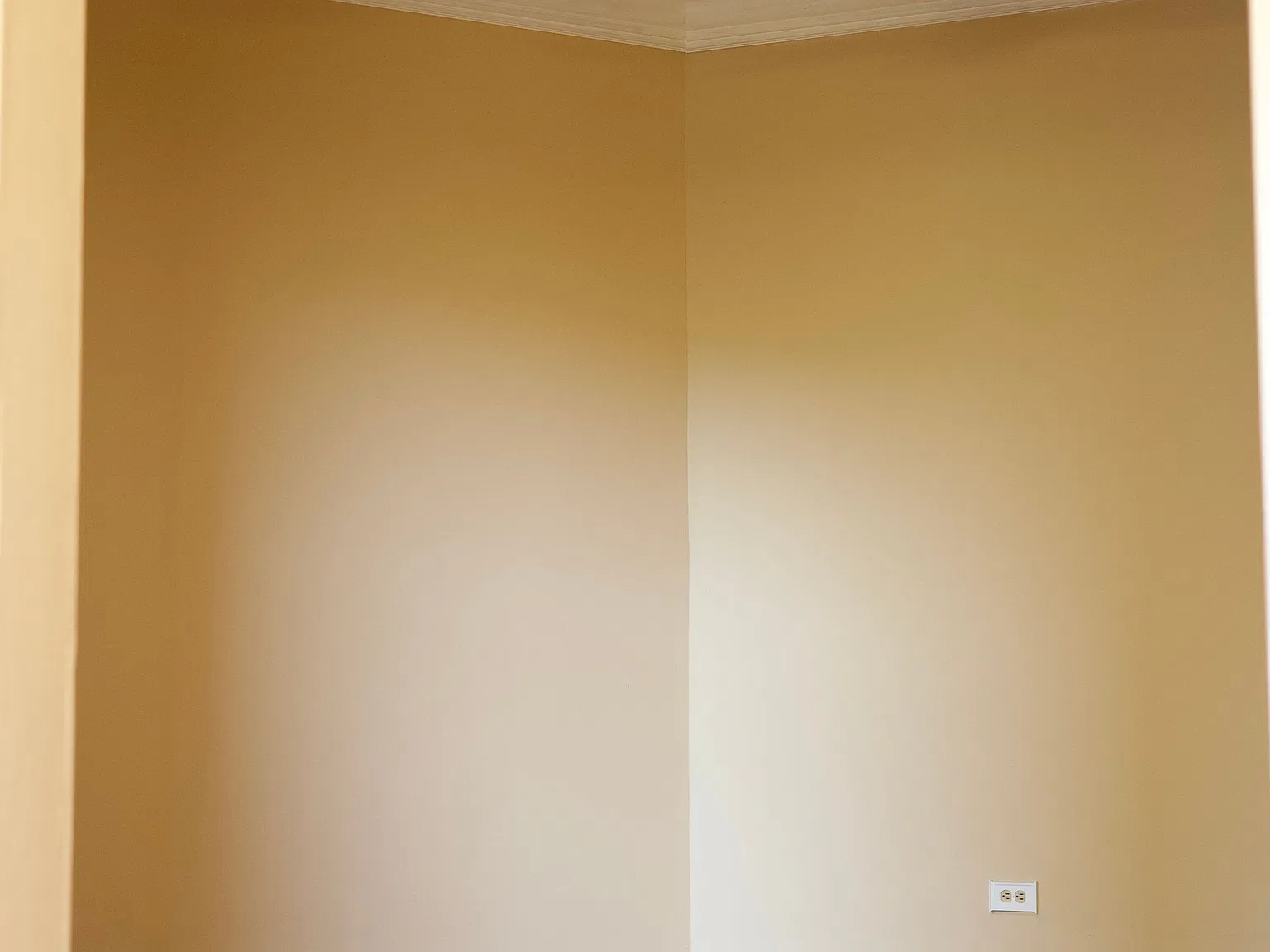 4 bed, 1500 sqft, $2,500 — Photo 3