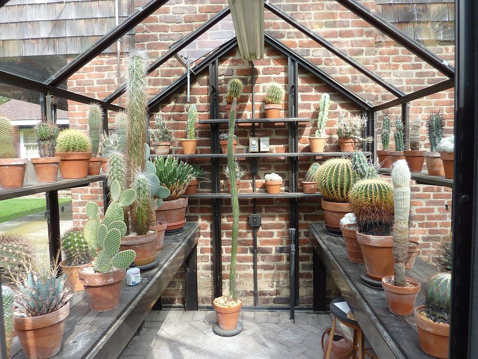Greenhouse