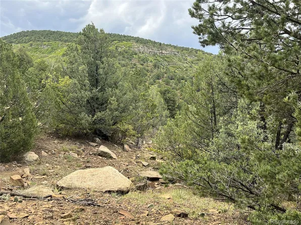 TBD Ponderosa Hills Lot 10, Trinidad, CO 81082