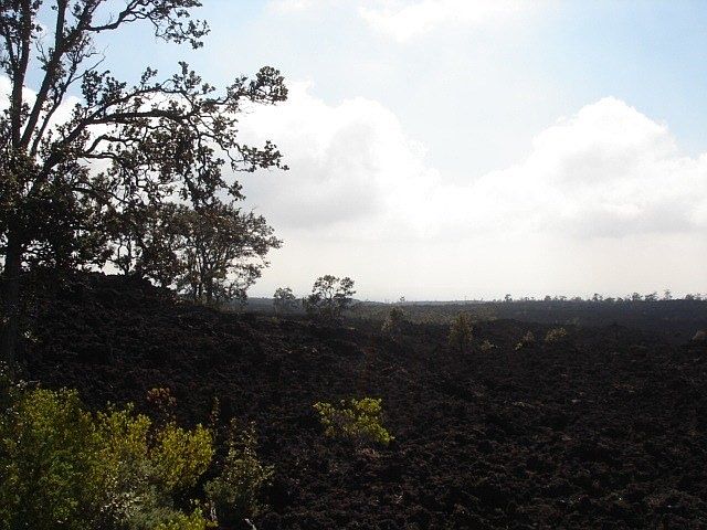 1st image of Aloha Blvd Lot 30