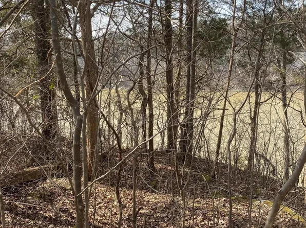 LOT 3 N Fork Dr, Burnside, KY 42519