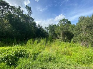 4145 Sorrento Rd, New Smyrna Beach, FL 32168