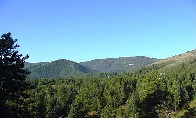 1st image of 17686 Bella Ln