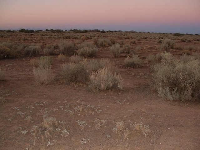 2nd image of 0 N Delta Drive #22