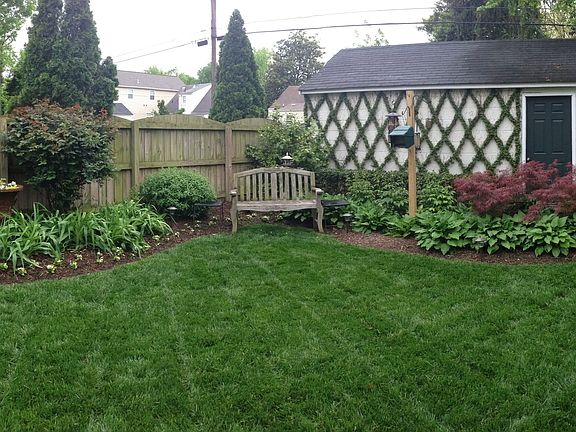 the back garden