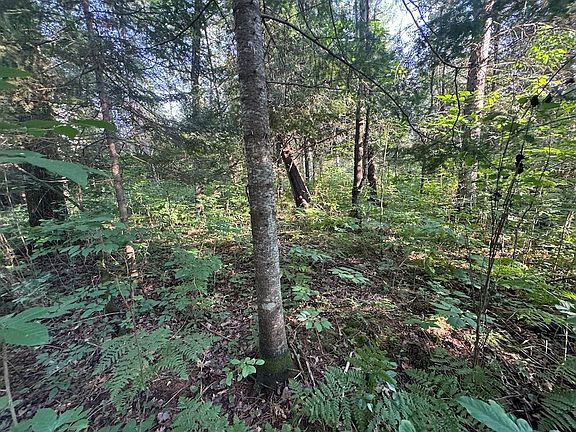 3rd image of Channel Lake Rd