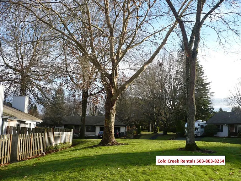 Back yard view
