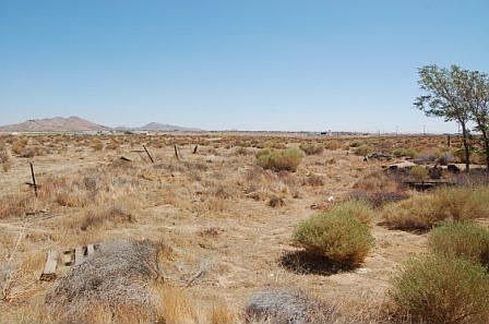 4th image of 7805 W Rosamond Blvd