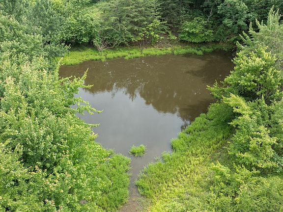 4th image of 192B Fletcher Rd