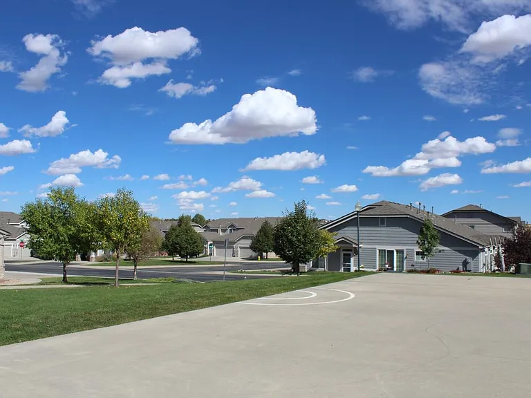 basketball court