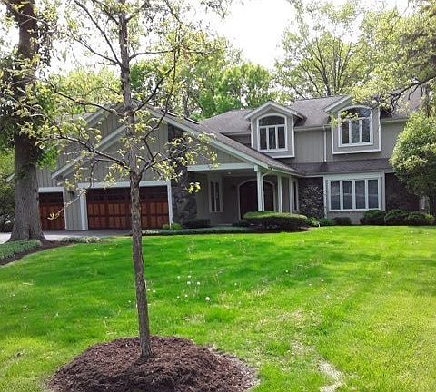 2nd image of 1558 S West Fork Dr