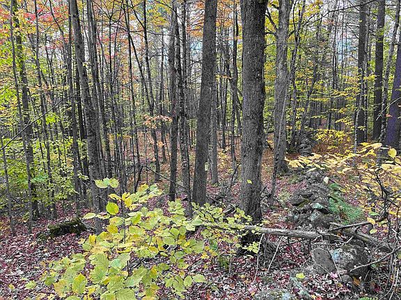 5th image of 0 Hardy Hill Road