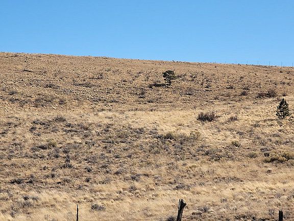 4th image of 2347 Music Mountain Dr