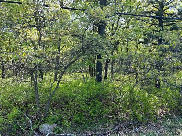 169 Sawmill Rd #7020, Pocono Lake, PA 18347