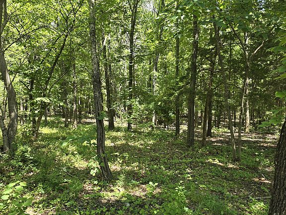 5th image of 1534 County Road 2990