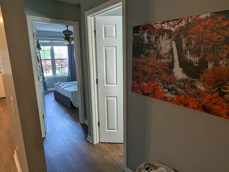 244 Hunter Hills Cir #3 — Photo 11