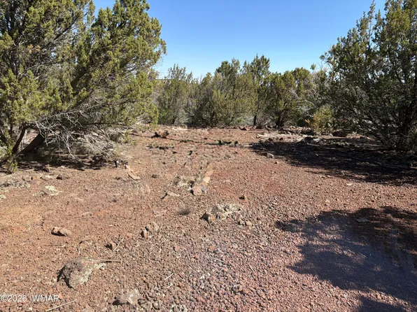 LOT County Road 3189, Vernon, AZ 85940