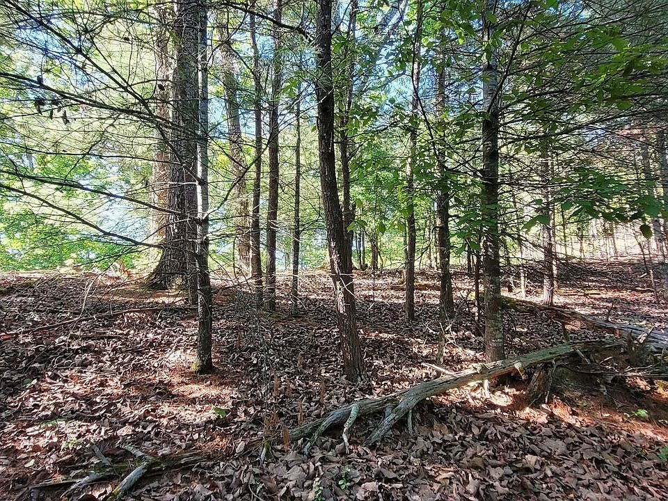 1st image of 123 Dogwood Ct
