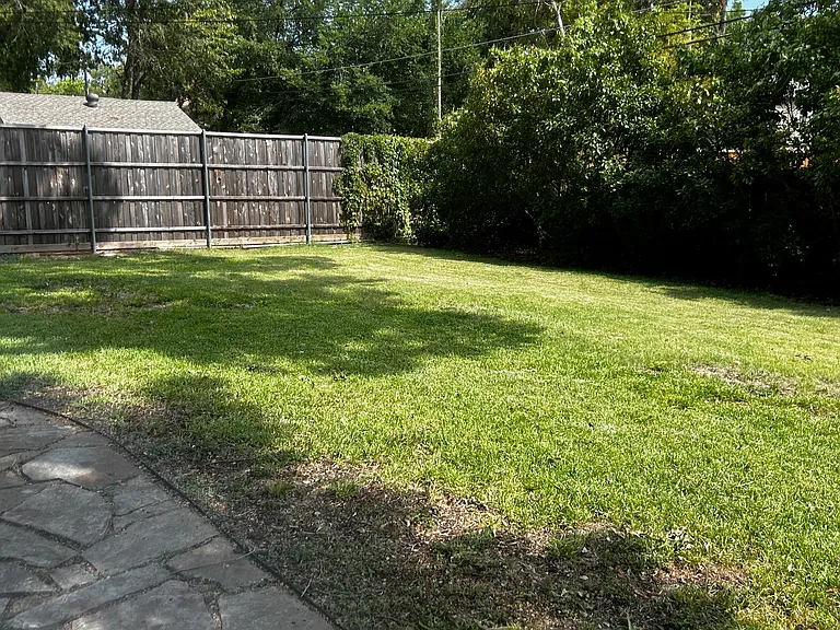 Backyard with larger privacy fence installed 2024