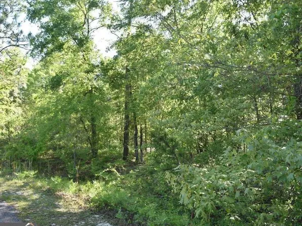 27 Chestnut Ln, Garfield, GA 30425