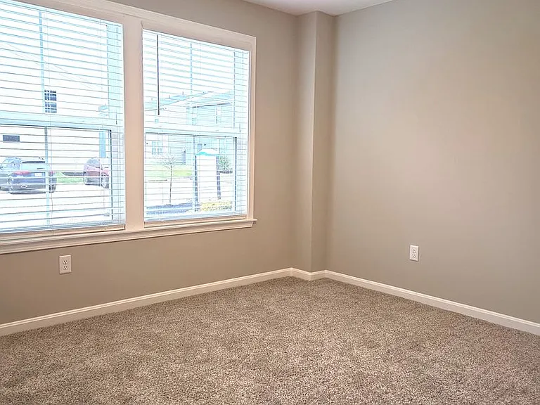 4238 Apple Branch Dr — Photo 12