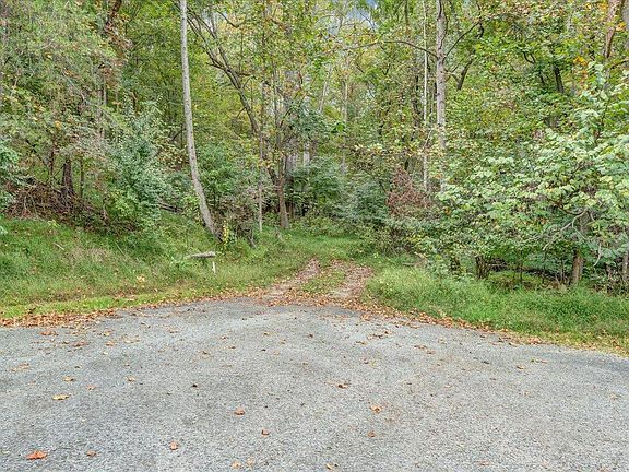 3rd image of 74 Walnut Run Dr